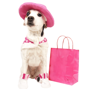 Accesorios para Perros