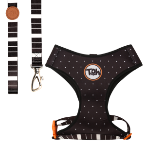 Pack Arnés NeoComfy y Correa ajustable color Eclipse para Perro | Marca TOH