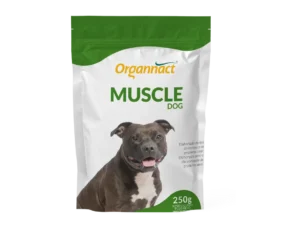 mammy dog suplemento para perras preñadas y lactantes