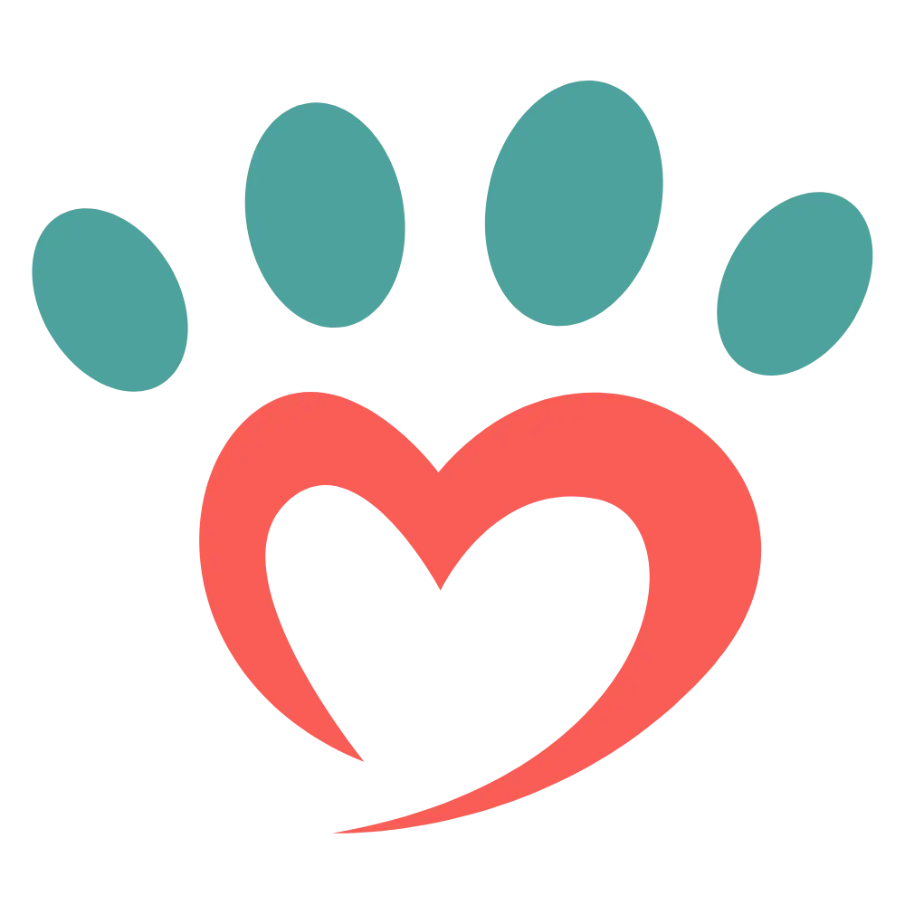 logo icono transparente 1000 x 1000