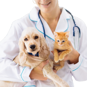 Suplementos & Vet Care
